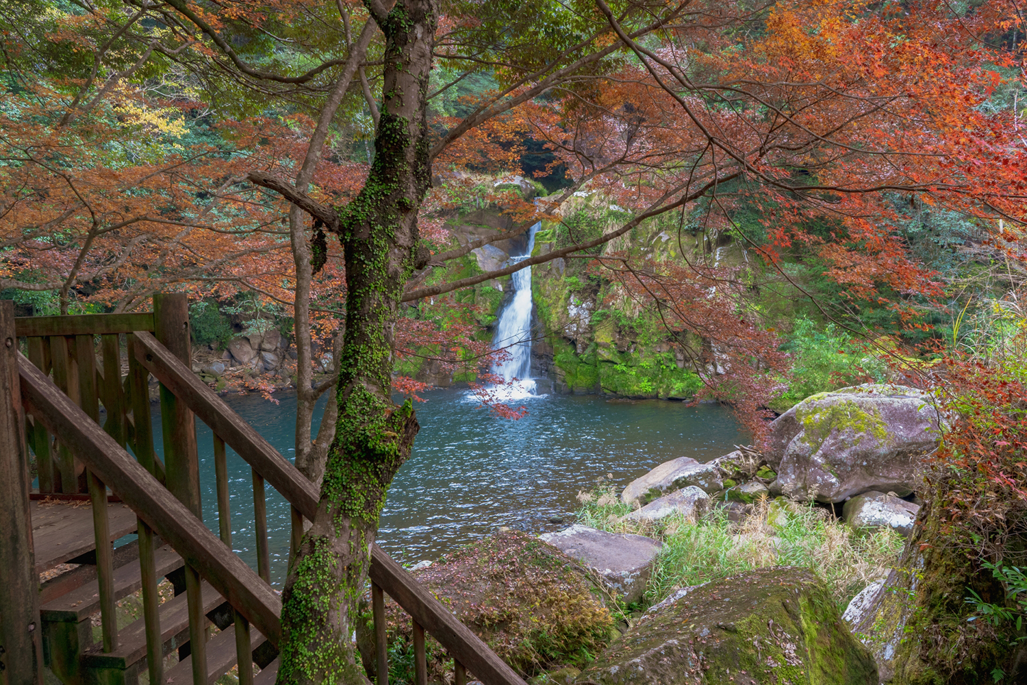 さつま町のイメージ